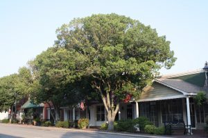 DownTown Perry shops