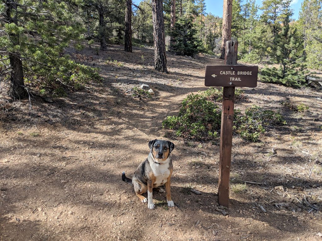 Castle Bridge Trail