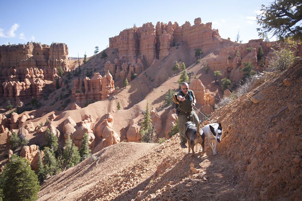 Switchbacks