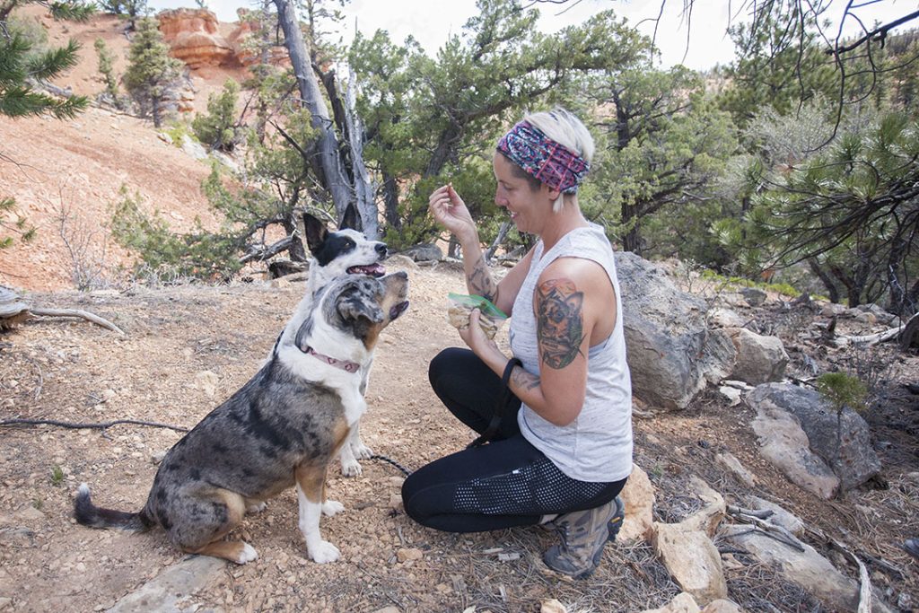 Dogs Snacking