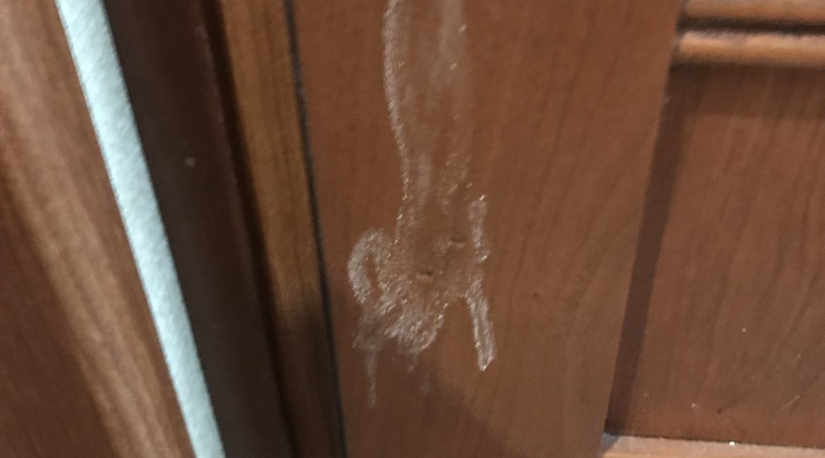 Mysterious white material appeared in a 2014 motorhome, referred to as wood sapping.