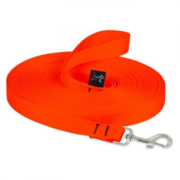 A leash is a great gift idea for a dog