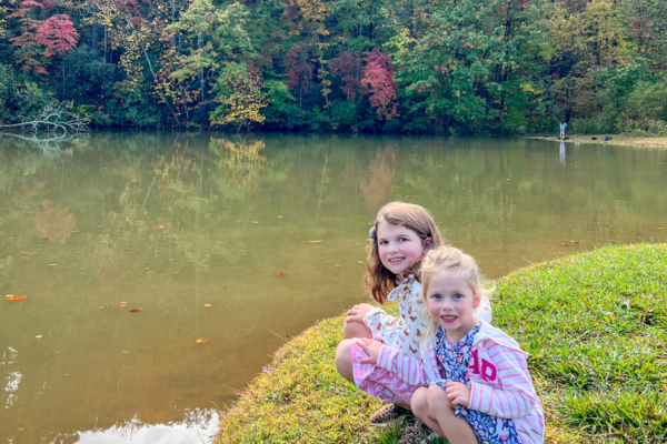 Family nature
