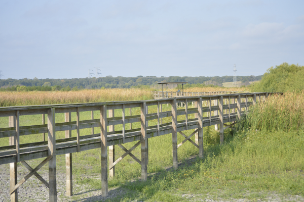 Texas State Park