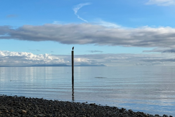 Saratoga Beach