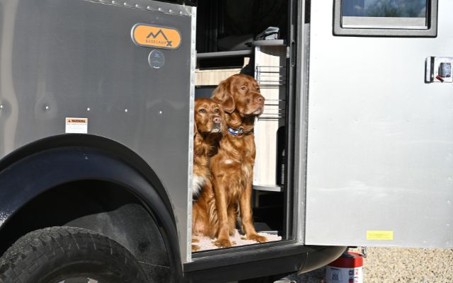 Photo © by Meagan Butler RV temperature monitors for dogs and cats
