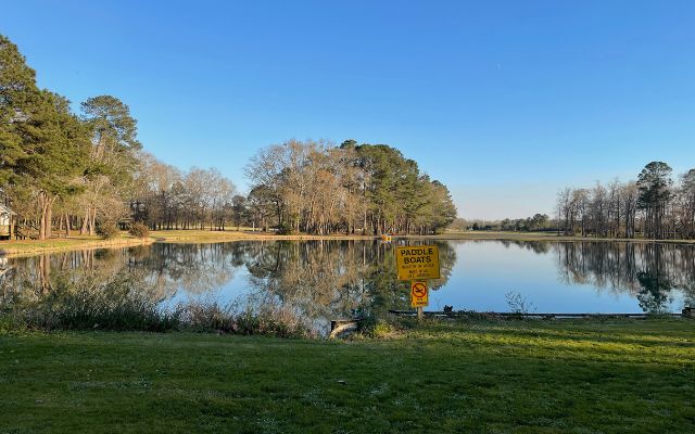 A pond surrounded by trees at the Americus, Georgia KOA.