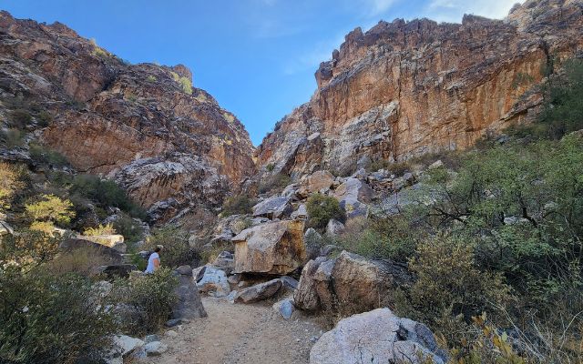 Desert hiking trail at White Tank Mountain Regional Park with mountain views near Phoenix