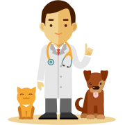 Pet Insurance